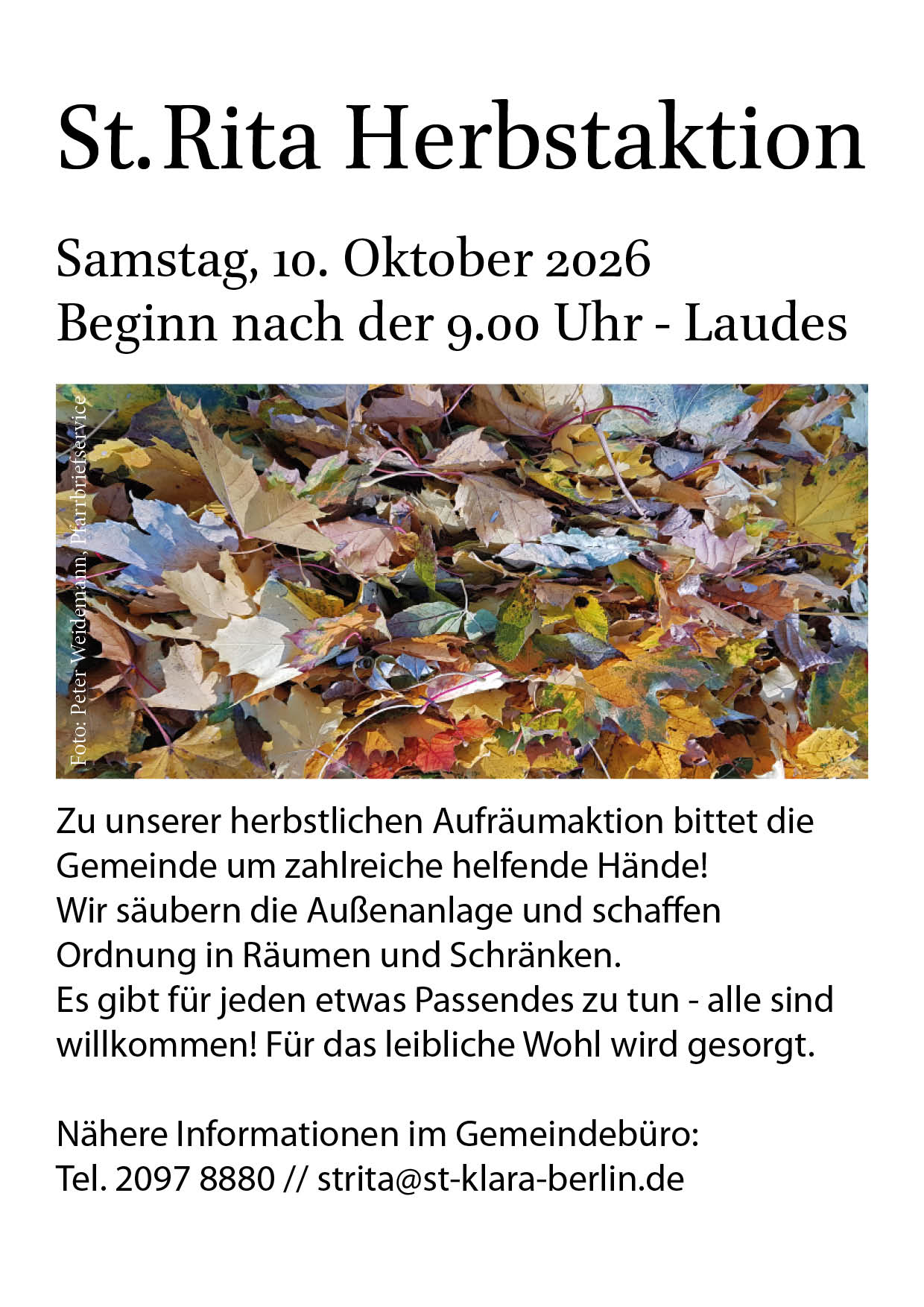 Herbstaktion Oktober 2026